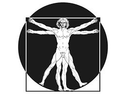 vitruvian_man